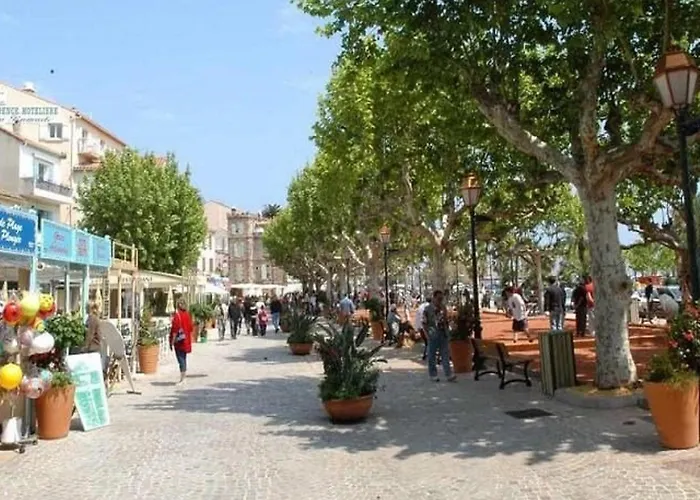 3 Couchages Climatise Avec Parking En Bord De Au Lavandou - Fr-1-251-893 * Le Lavandou